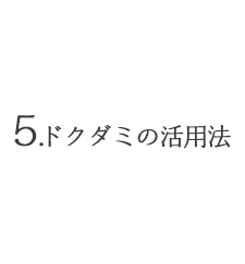 5.ヨモギの活用法