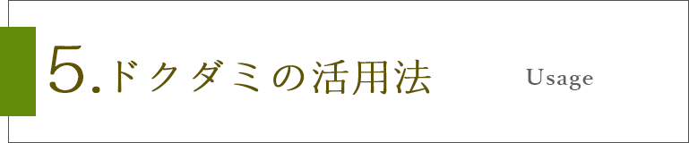 効能 どくだみ 茶 の