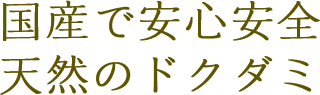 国産で安心安全天然のドクダミ